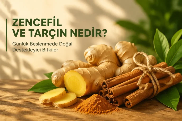 Zencefil ve Tarçın Nedir? Günlük Beslenmede Doğal Destekleyici Bitkiler